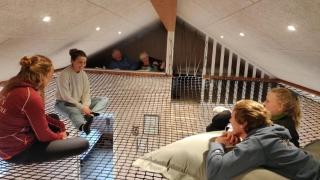 Villavilla #539 - Hostrup Strand, Limfjorden - 1