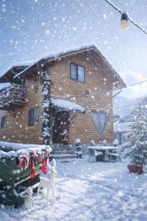 Cabana Rustica Georgeta - 0