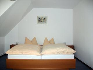 Hotel-Gasthaus Burmester - Heidenau - 5