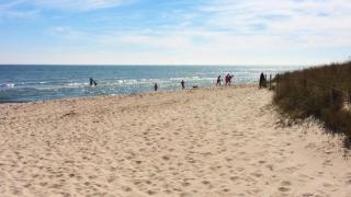 Villavilla #650 - Marielyst, Lollandfalstermøn - 5