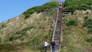 Villavilla #313 - Henne Strand, Vestjylland - 5