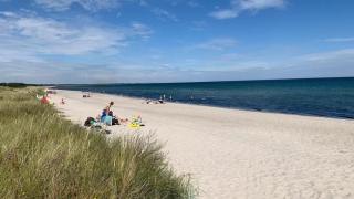 Villavilla #513 - Marielyst, Lollandfalstermøn - 8