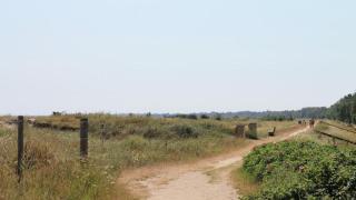 Villavilla #282 - Marielyst, Lollandfalstermøn - 3