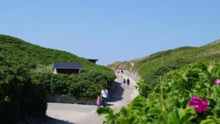 Villavilla #687 - Søndervig, Vestjylland - 3