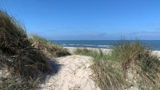 Villavilla #666 - Houstrup Strand, Vestjylland - 5