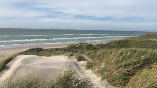 Villavilla #683 - Blokhus, Nordjylland - 3