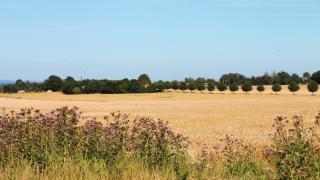 Villavilla #640 - Saksild, Østjylland - 3