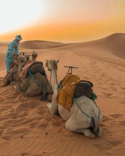 Fabulous Luxury Camp - 3