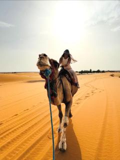 Fabulous Luxury Camp - 6