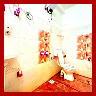 The Lachen - Avalanche - 6