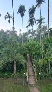 Grand Glorious Resort - 2