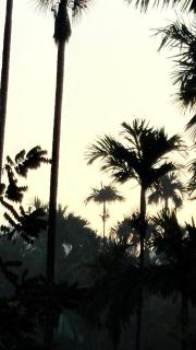 Grand Glorious Resort - 1