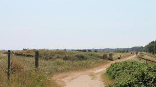 Villavilla #689 - Marielyst, Lollandfalstermøn - 8