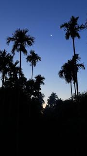 Grand Glorious Resort - 9