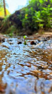 Grand Glorious Resort - 4