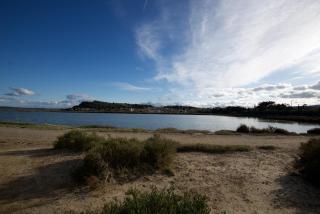 Chemin Neuf - Peyriac-de-Mer - 8
