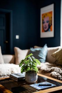 BATH Luxury Georgian Flat - 9