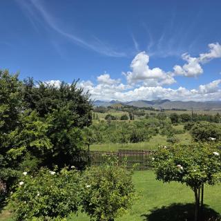 Mystic Mountain Cottage - 3