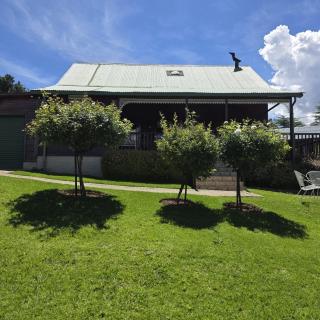 Mystic Mountain Cottage - 2