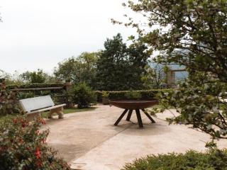 Magoebaskloof Mountain Estate - 8