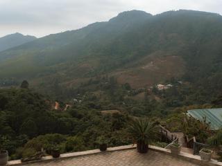 Magoebaskloof Mountain Estate - 2