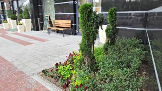 Holiday Inn Plovdiv by IHG - 9