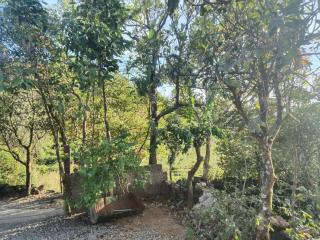 Holidays Homestay Vagamon - 8