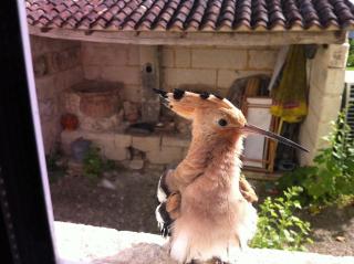 Chambres d'Hôtes - Les Bujours - 1