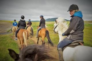 Saltvík Farm Guesthouse - 2