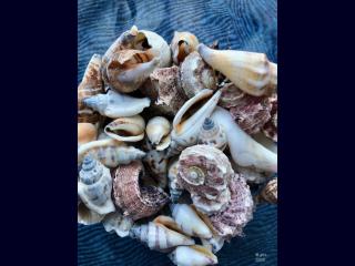 Willkommen-Glückstadt - 5