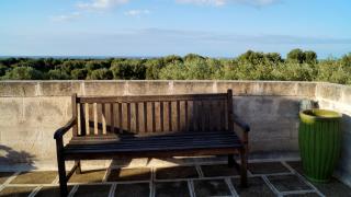 SanVirgilio Apartment in Fasano with Terrace View Ancient Olives & Sea - 9