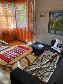 Traditional Finnish Lapland house at wild forest backyard! - Kemi - 6