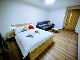 2 - room apartment with terrace and free parking - 9