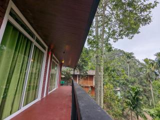 Ella Morning Sunshine - 2