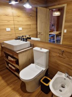 Remanso del Bosque Loft Coirón, Bahía Manzano - 3