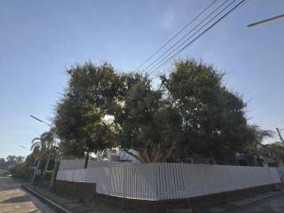 เดอรำพึง2 De ramphueng2 - 1