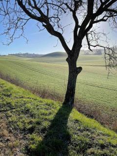 Charmante maison avec jardin à Marsac - 50 m² - 2