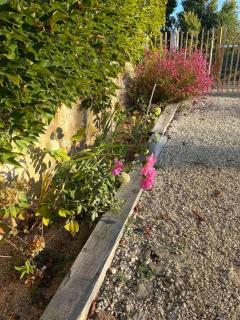 Charmante maison avec jardin à Marsac - 50 m² - 1