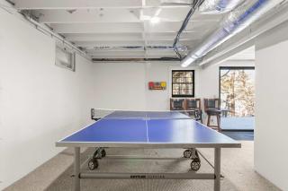 Dog Friendly Game Room Central AC - 8