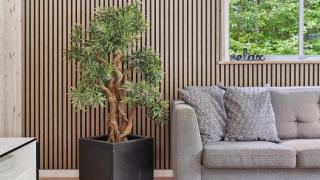 Villavilla 320 - Fjellerup, Østjylland - 3