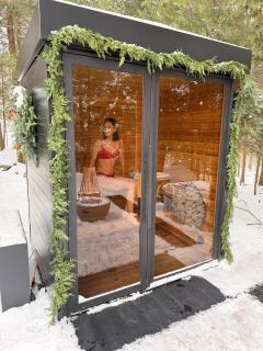 Aux Box Muskoka Modern Muskoka Bunkie - 9