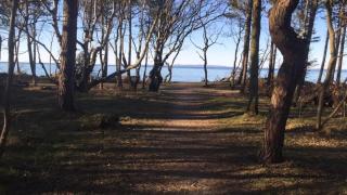 Villavilla #312 - Hornbæk, Nordsjælland - 3