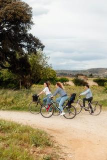 Eco-Friendly Cottage In Frontignan Wine Estate - 9