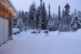 Villa Arctic Stillness - 6