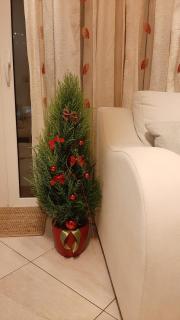 Skyline Vista - Sea View Apartment with Free Parking - 6