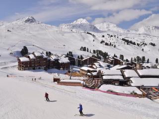 Studio skis aux pieds, animaux admis, vue pistes - FR-1-181-2307 - 2