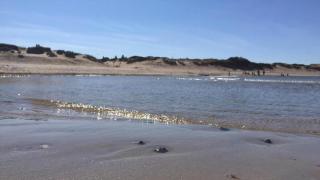 Villavilla #369 - Asserboliseleje, Nordsjælland - 1