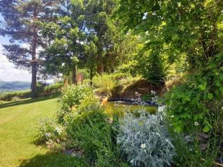 Le gîte Bellevue - 6