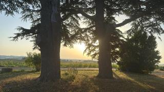 Chic & Nature Gîte - Domaine du Verdier, Lauragais - 3