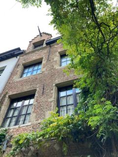 Historic home in old city center of Antwerp - 7